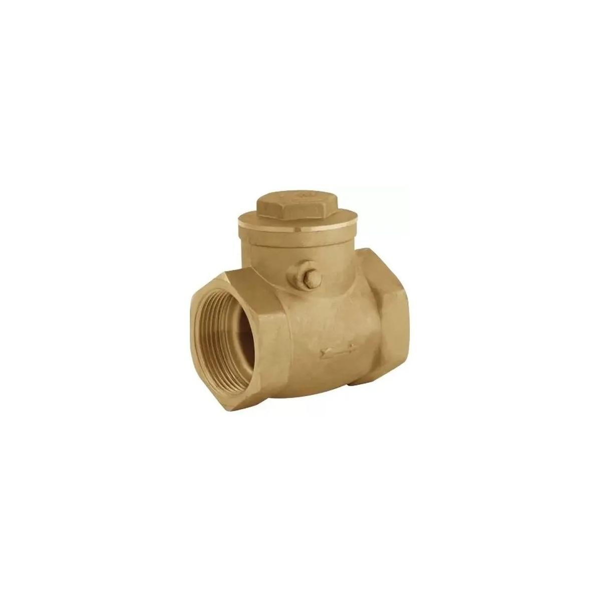 Válvula de Retenção Horizontal Higiban com Portinhola 3/4"