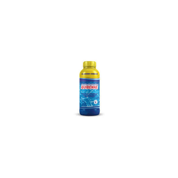 Algicida Choque Quibenne 1lt